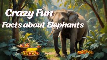 Crazy fun facts about Elephants